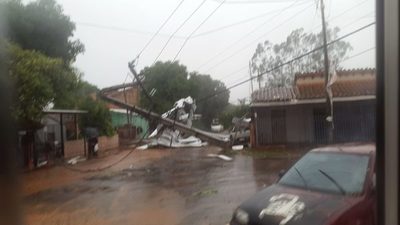 Tormenta dejó más de 50 árboles caídos en San Lorenzo | San Lorenzo Py