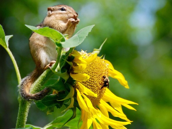No hay tiempo que perder tras informe de biodiversidad amenazada