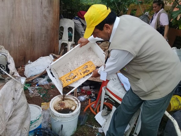 Alto Paraná y Amambay concentran la mayor cantidad de casos de Dengue - ADN Paraguayo