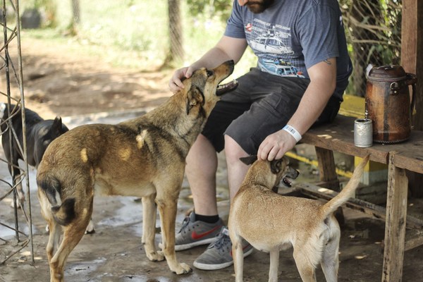 Mascotas de familias inundadas reciben protección contra la rabia » Ñanduti