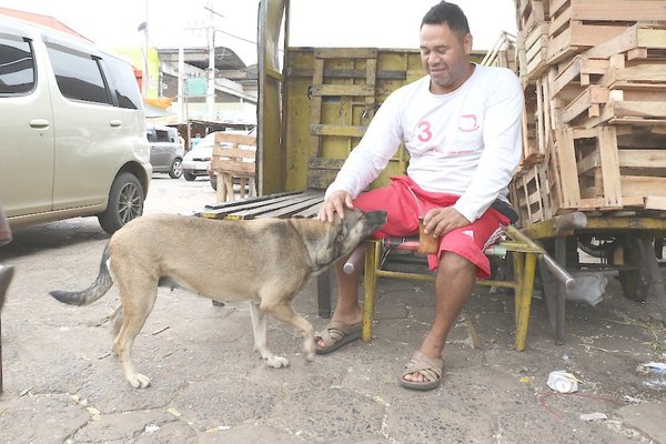 El carritero “salvador” de los perros abandonados