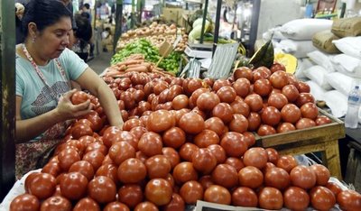 Hay poca producción del tomate y darán más Afidi - Edicion Impresa - ABC Color