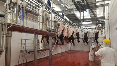 Frigorífico incendiado reanuda actividades de manera parcial - ADN Paraguayo