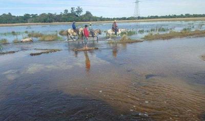 Producción agrícola en Ñeembucu se perdió en un 80 por ciento - .::RADIO NACIONAL::.