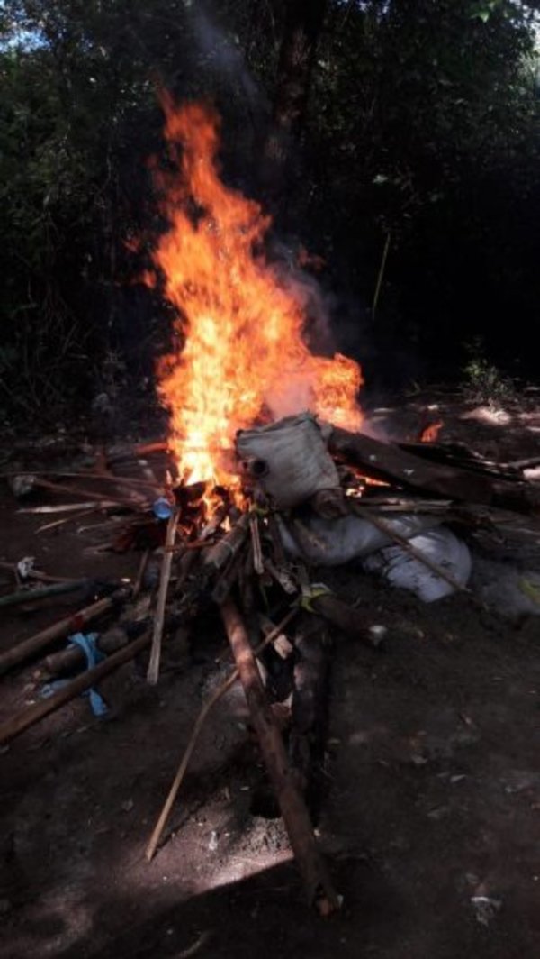 Destruyen plantaciones de marihuana en zona de enfrentamiento - Nacionales - ABC Color