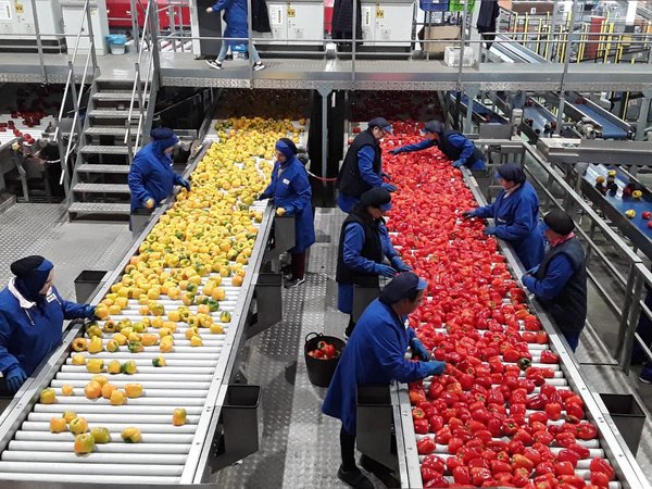 Paraguay presente en Feria Internacional Frutihortícola en Italia - .::RADIO NACIONAL::.
