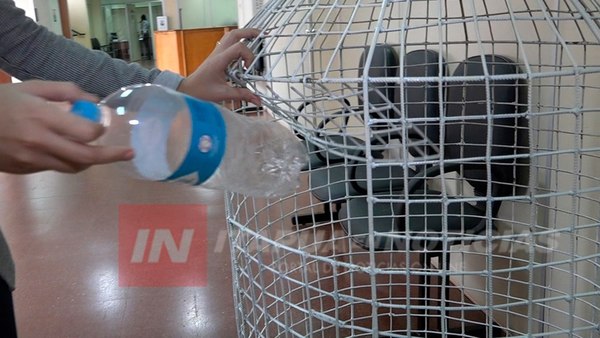 INICIA RECICLAJE DE BOTELLAS DE PLÁSTICO EN LA GOBERNACIÓN