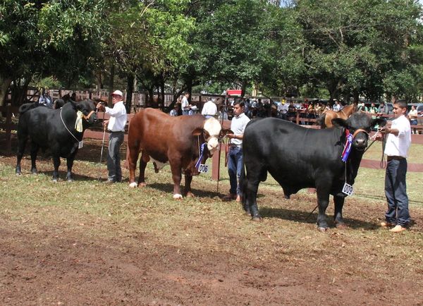 Hoy se inicia la Expo Nacional de Otoño