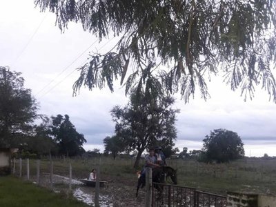 Tras días de agonía, paciente llegó al hospital en una canoa estirada por un caballo