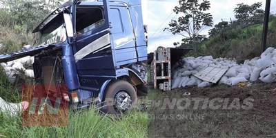 VUELCO DE CAMIÓN SOBRE GRANEROS DEL SUR EN CARMEN DEL PARANÁ