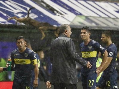 El perro volador es furor en las redes