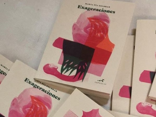Escritora paraguaya radicada en Chile presenta un libro en Asunción