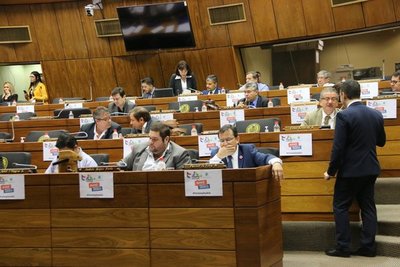 Para diputada liberal proyecto Ñande Energía busca beneficiar a todos - .::RADIO NACIONAL::.