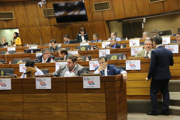 Para diputada liberal proyecto Ñande Energía busca beneficiar a todos - .::RADIO NACIONAL::.