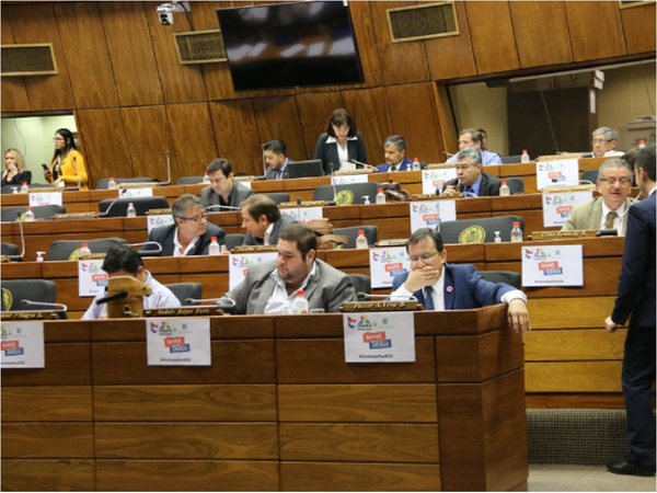 Ñane Energía: Reducción de tarifa de la ANDE dependerá del Gobierno de turno