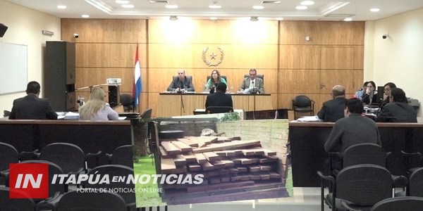 EN MARCHA PRIMER JUICIO POR TRÁFICO DE MADERA NATIVA DE LA RESERVA SAN RAFAEL.