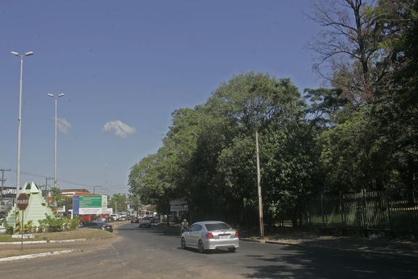 Continúan trabajos preliminares del Corredor Vial Botánico - ADN Paraguayo