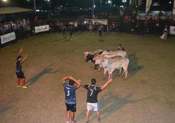 Organizan la 1ª Edición del Fútbol Boi en San José de los Arroyos - ADN Paraguayo