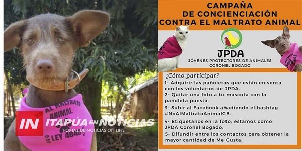 CNEL. BOGADO: INICIA CAMPAÑA DE CONCIENCIACIÓN CONTRA EL MALTRATO ANIMAL