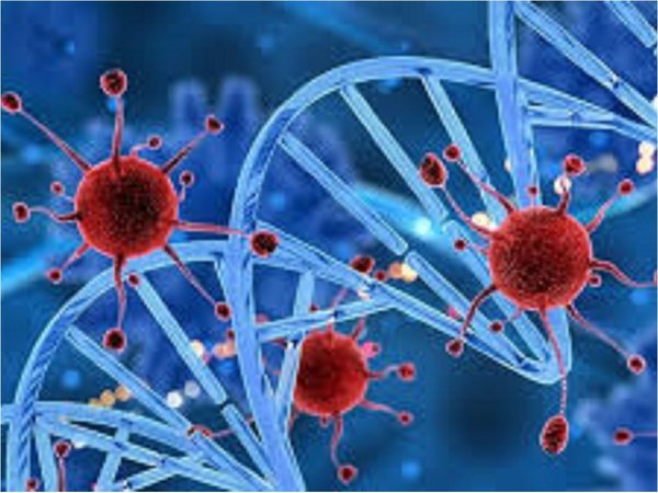 Células cancerosas se comunican a larga distancia