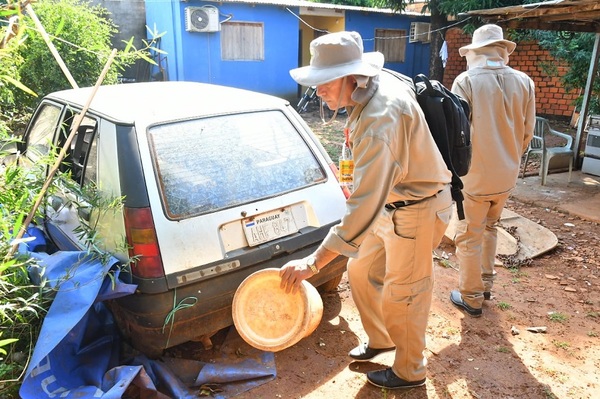 Siguen trabajos de rastrillaje para eliminar al Aedes aegypti en Alto Paraná - ADN Paraguayo