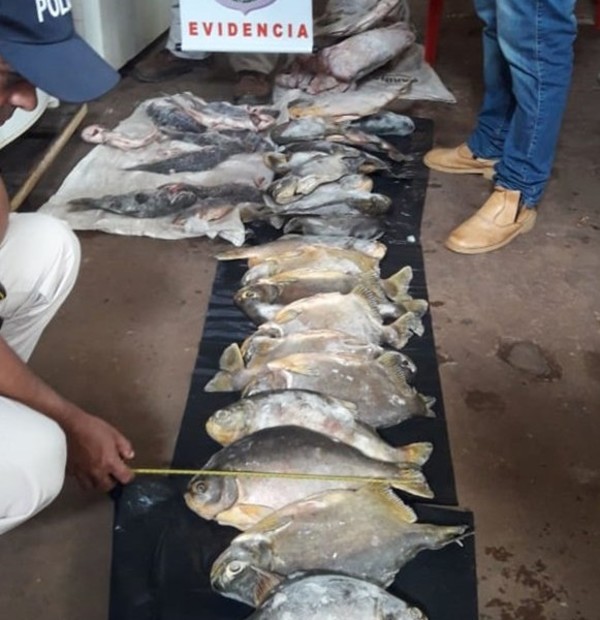 Decomisan pescados sin medidas reglamentarias y piezas faenadas de animales silvestres - Radio 1000 AM