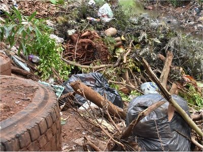 Drama de la poda: Restos de ramas fomentan  vertederos clandestinos