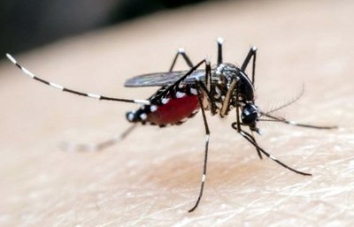 Crean un bioinsecticida - Edicion Impresa - ABC Color