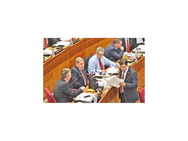 Senado acepta el desbloqueo sin paridad y descarta voto electrónico