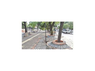 Inauguran el Paseo Caballero