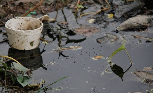 HOY / Suman seis las muertes por dengue y epidemia apunta a extenderse