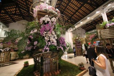 Desde hoy la exposición de orquídeas de Taiwán puede ser visitada