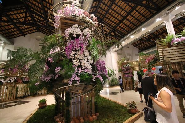 Desde hoy la exposición de orquídeas de Taiwán puede ser visitada