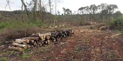 INFONA CONSTATA DESMONTE Y QUEMA EN EL DISTRITO DE CARLOS A. LÓPEZ