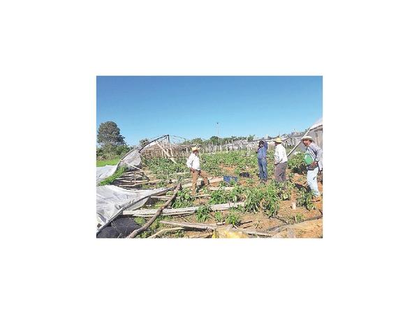 Temporal daña a productores hortícolas en Concepción