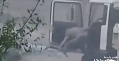 Un verdadero héroe nacional: Un camionero rescató a cuatro personas en medio del diluvio - Digital Misiones