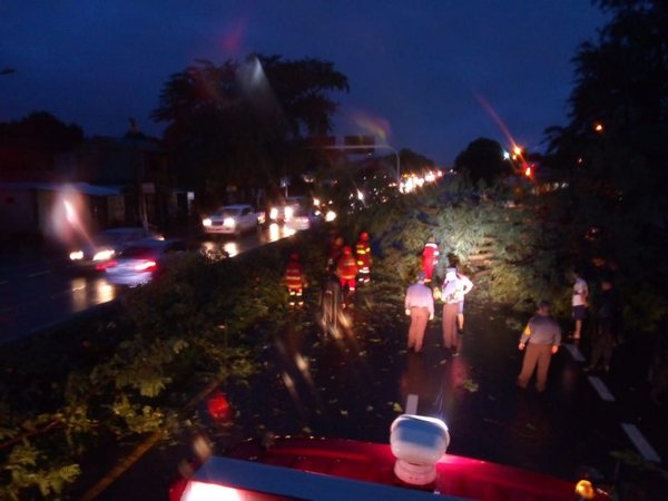 Además de inundación, debieron lidiar con árboles caídos - Nacionales - ABC Color