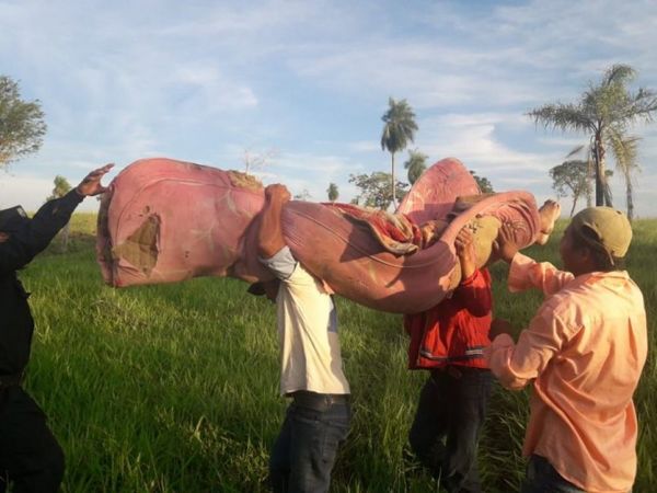 Rayo mata a tres indígenas de la parcialidad Avá Guaraní - ADN Paraguayo