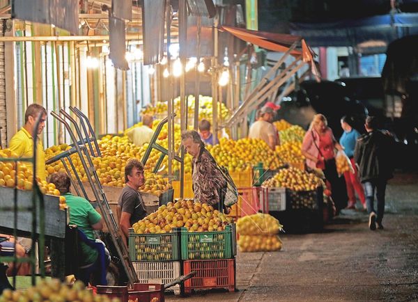 Madrugada con frutos detrás de una cortina de agua