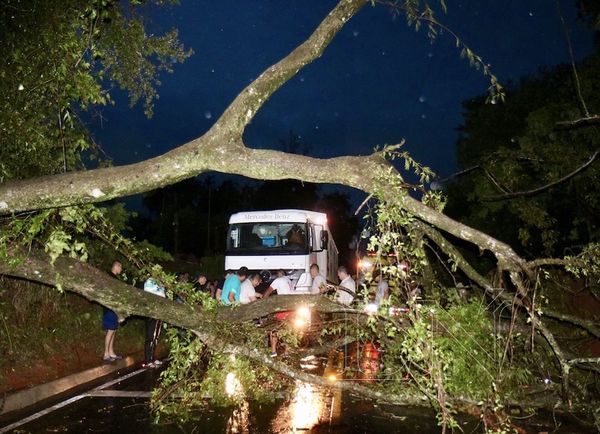 Varios pobladores de Central reclaman urgente asistencia