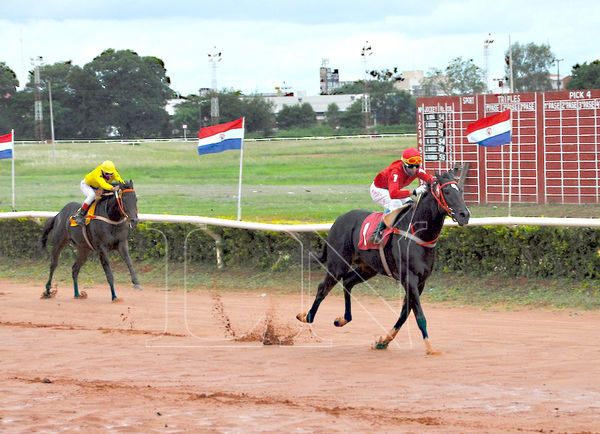 Dos clásicos en cartelera