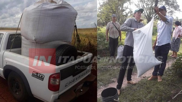 ASISTEN A PRODUCTORES AGRÍCOLAS DE SAN PEDRO DEL PNÁ.