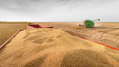Pérdida en el sector agrícola estaría de entre los 10 y 20% - ADN Paraguayo
