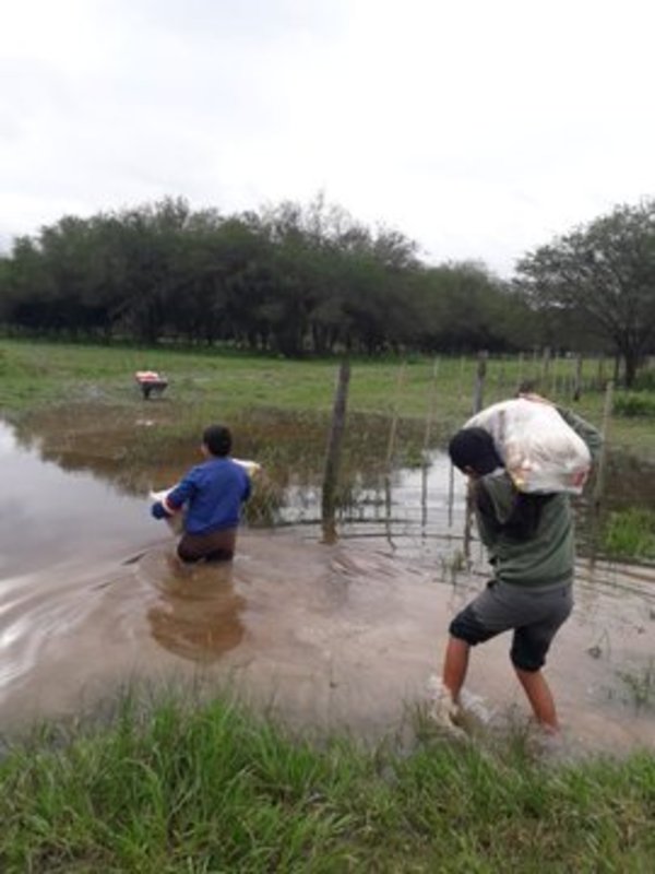 Distribuyen alimentos en zonas aisladas de Pindoty - ADN Paraguayo