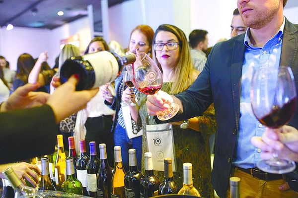 Preparan la Expo Vino