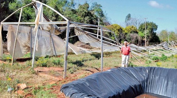 MAG anuncia que comprará de nuevo invernaderos para los tomateros - Edicion Impresa - ABC Color