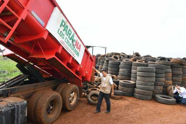 Juntan unas 1.500 cubiertas en desuso al día en Alto Paraná