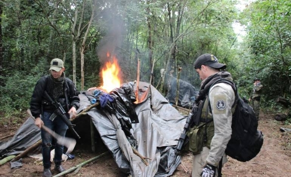 HOY / Niños para procesamiento y empaque de marihuana: nueva estrategia narco, detectan
