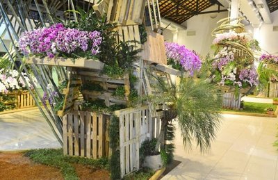 Subasta de orquídeas a beneficio del “Amor en cada gota” - Nacionales - ABC Color