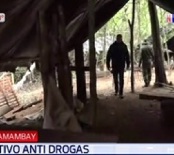 Operativo Rescate: Desmantelan 14 campamentos de droga - Paraguay.com
